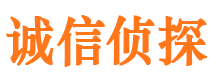 游仙市侦探调查公司